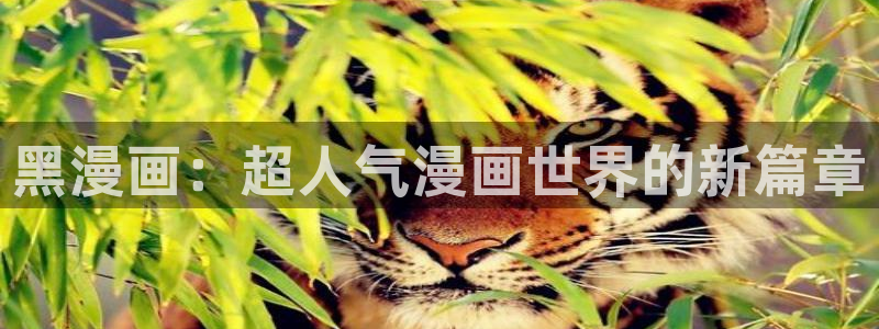 少帅你老婆又跑了奇漫屋漫画