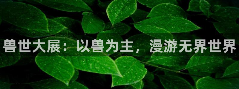 高等灵魂奇漫屋